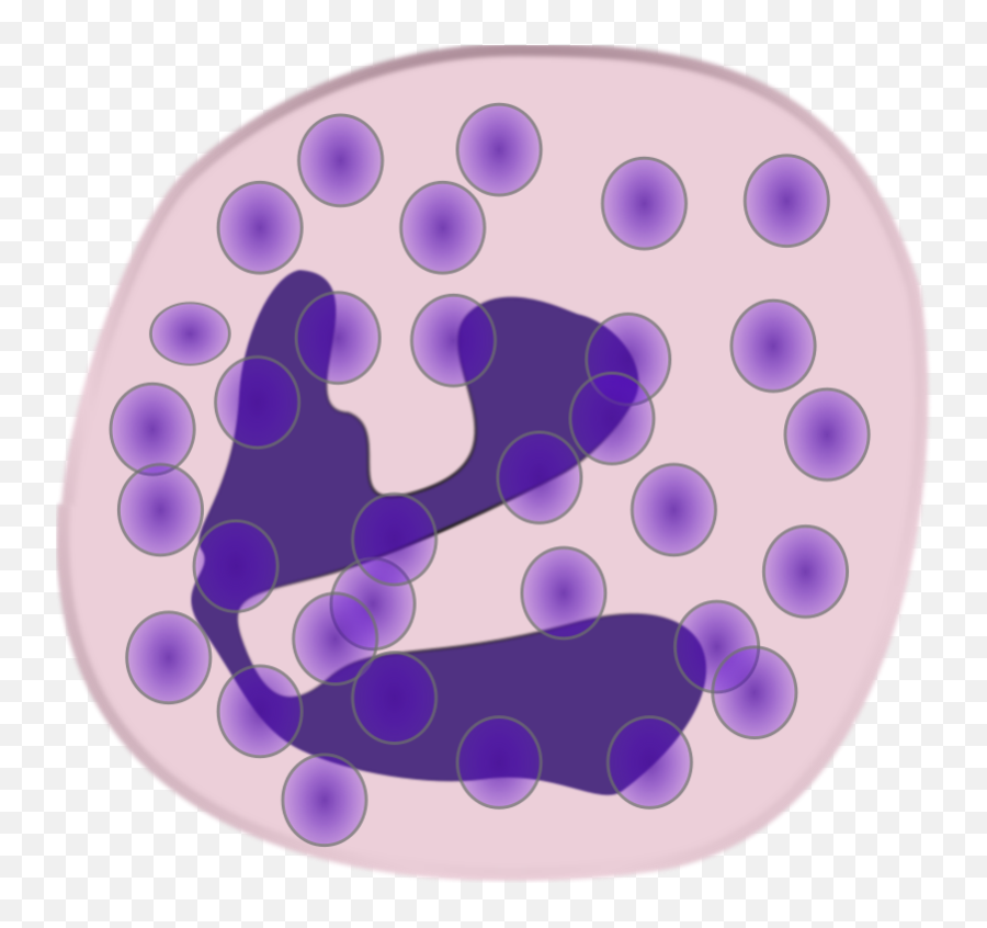 Free Clip Art Neutrophil By Keikannui - Neutrophil Clipart Emoji,Cells Clipart