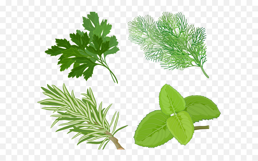 Herbs Clipart Transparent Background - Herbs Vector Emoji,Herbs Clipart