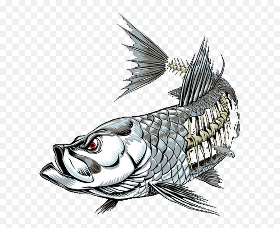 Tarpon - Tarpon Skeleton Clipart Full Size Clipart Emoji,Fish Skeleton Clipart