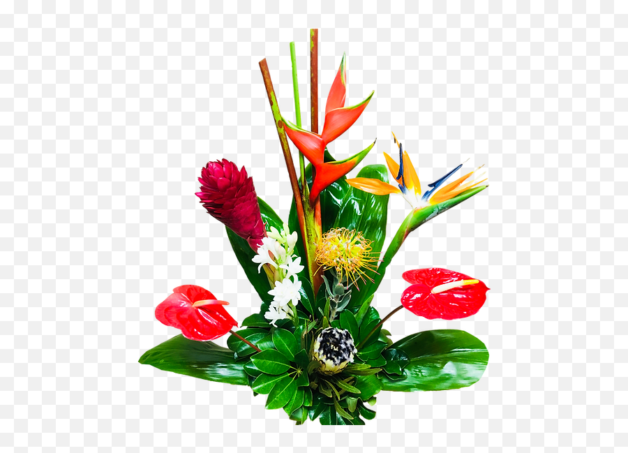 Home Lahaina Emoji,Tropical Flower Png