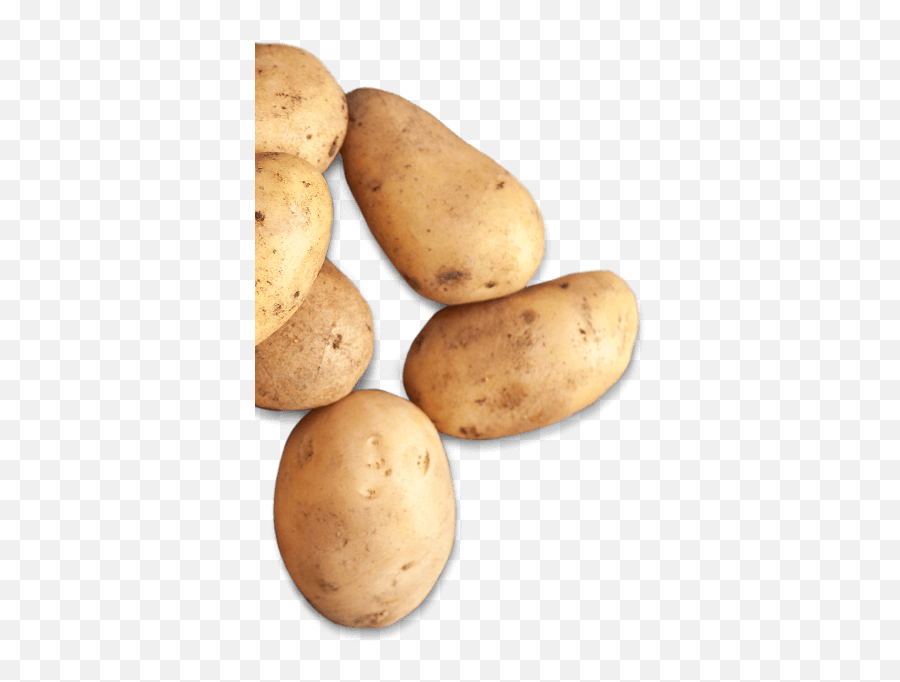 Spudlove 100 Usda Organic Gluten - Free Nongmo Kettle Yukon Gold Potato Emoji,Potato Png