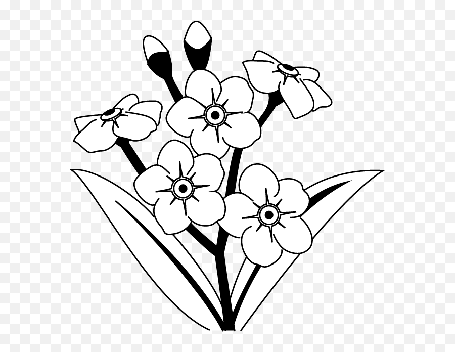 Forget Cliparts Download Free Clip Art - Alpine Forget Me Not Clipart Black And White Emoji,Don't Forget Clipart