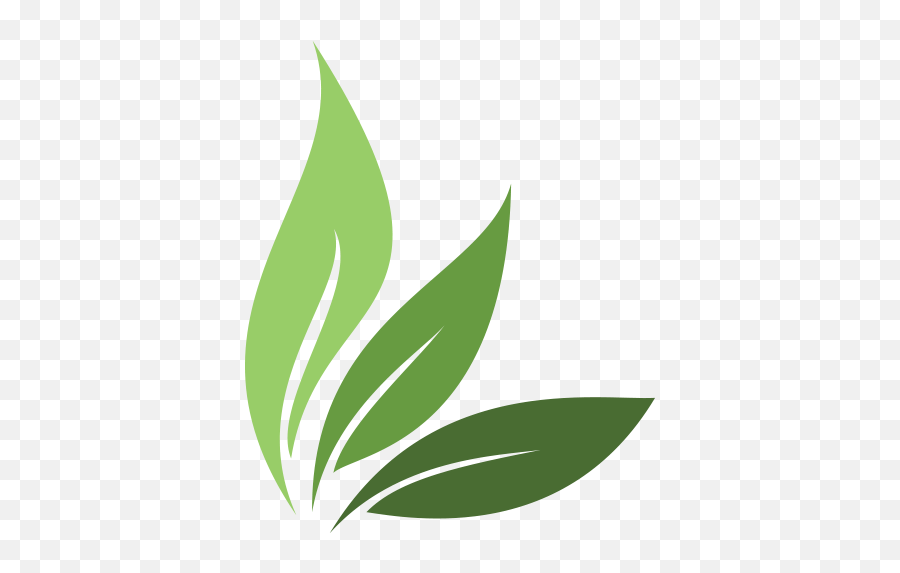 Vitae Fertility - Natural Leaf Logo Png Emoji,Marquette Logo