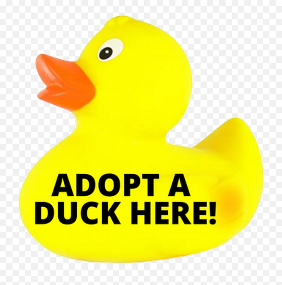 Sold Rubber Ducky Race - Soft Emoji,Rubber Duck Transparent