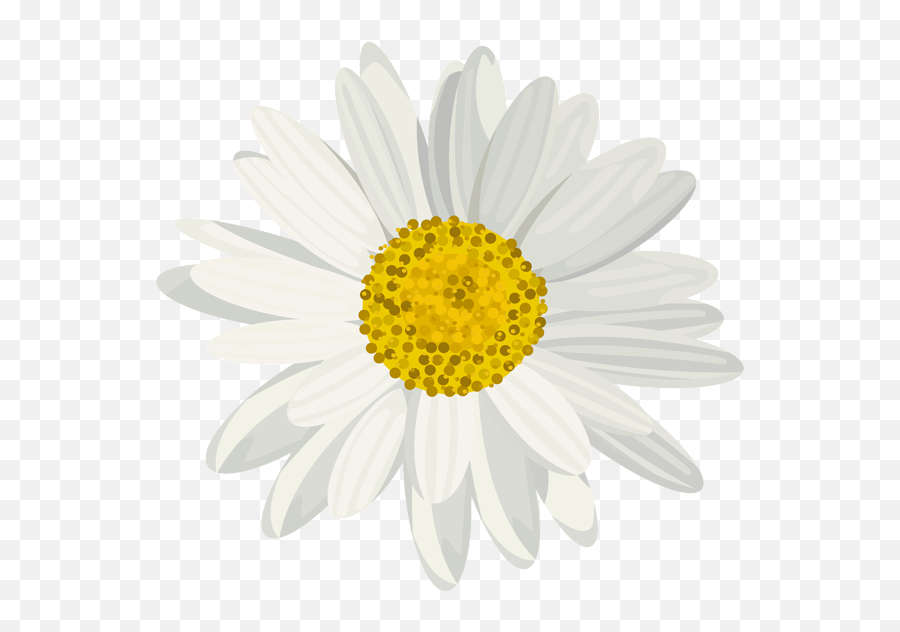 Download Hd Art Images Daisy Clip Art Art Pictures - Daisy Png Emoji,Daisy Transparent Background