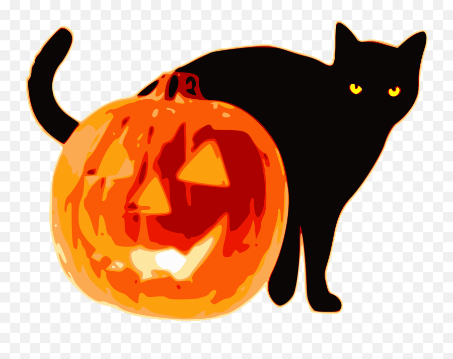 Jack O Lantern Png Png Image With No - Black Cat With Pumpkin Clip Art Emoji,Jack O Lantern Transparent Background