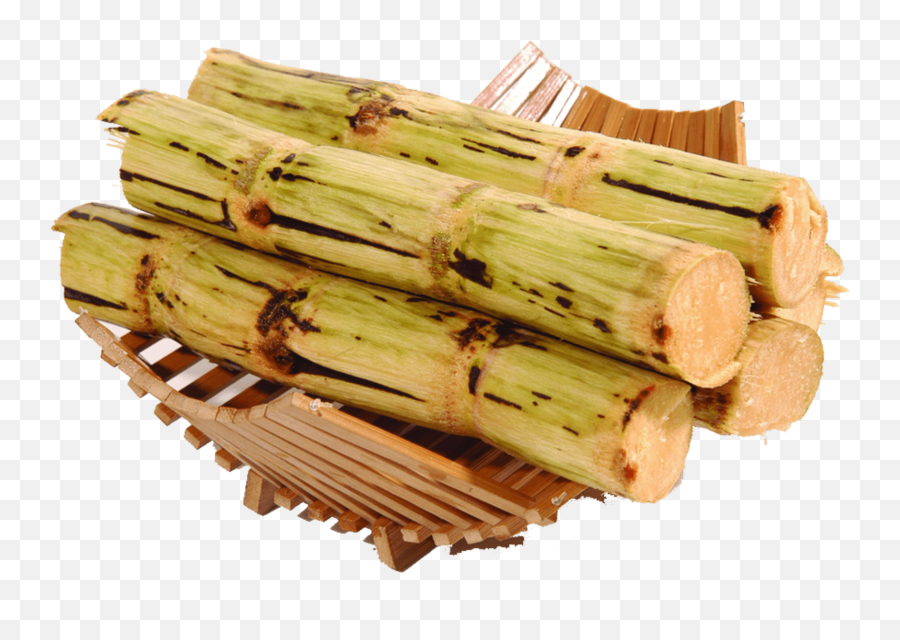 Sugarcane Png - Sugar Cane Sugarcane Png 1001878 Vippng Emoji,Sugar Png