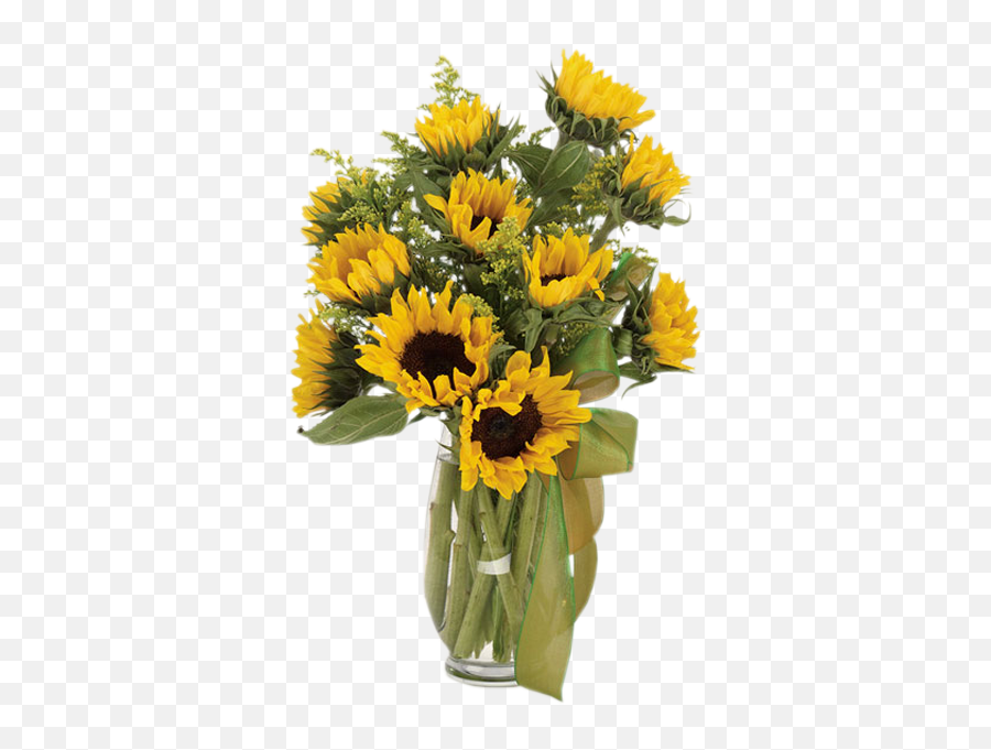 Download Sunflower Fields - Sunflower Field Bouquet Png Emoji,Sunflower Garden Clipart