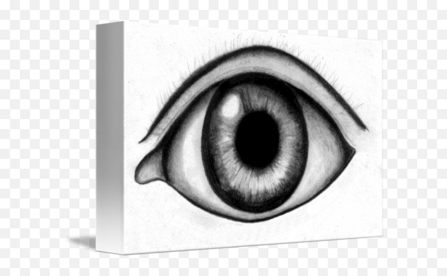All Seeing Eye By Lars Wegner Emoji,All Seeing Eye Png