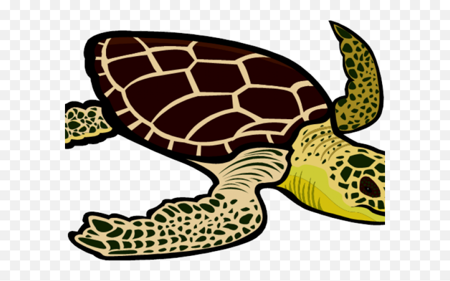 Sea Life Clipart Pawikan - Green Sea Turtle Clipart Loggerhead Sea Turtle Emoji,Sea Clipart