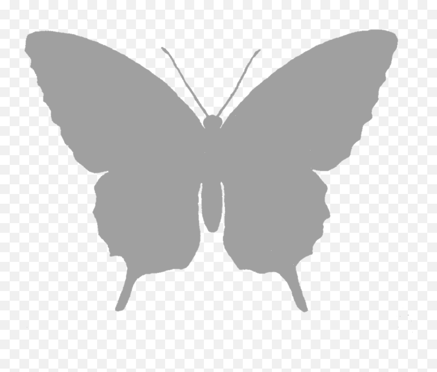 Free Butterfly Silhouette Image - Silhouette Art Ideas Butterfly Emoji,Butterfly Silhouette Png