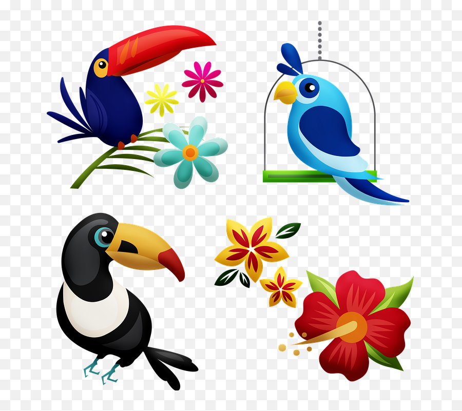 Transparent Rainforest Birds Clipart - Toucans Png Tropical Bird Cartoon Emoji,Rainforest Clipart