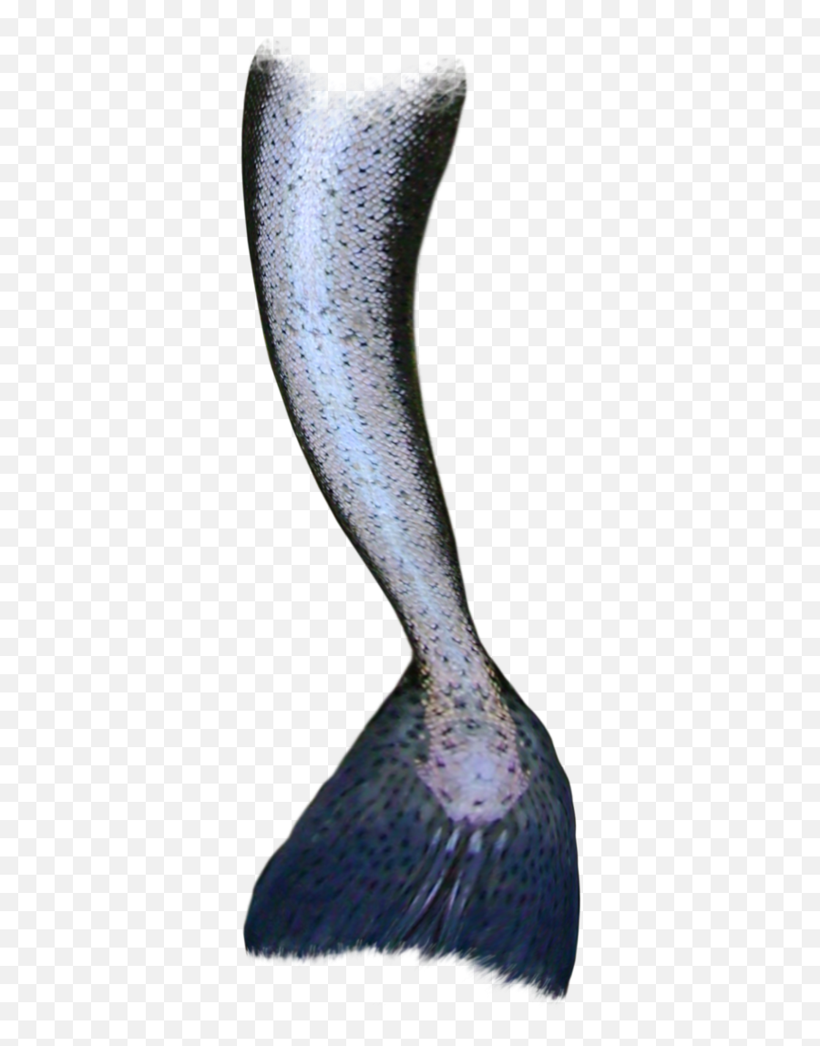 Mermaid Tail Siren - Mermaid Png Download 9001200 Free Transparent Black Mermaid Tail Emoji,Mermaid Tails Clipart