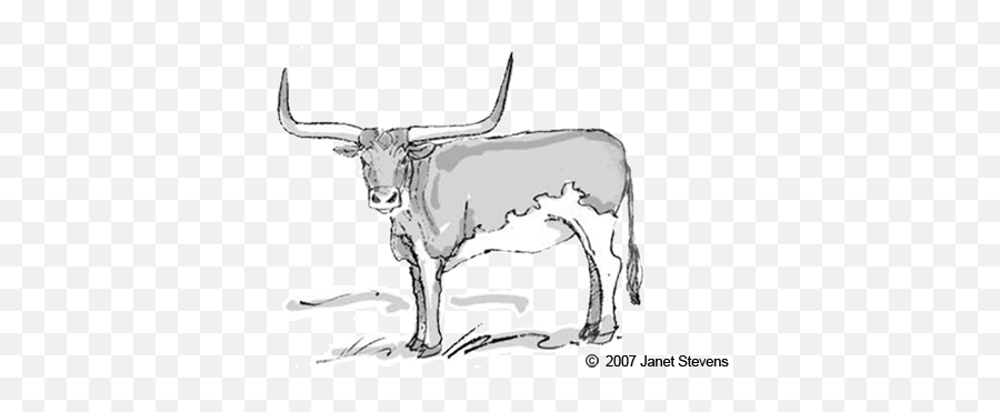 1958 - Long Horned Cattle Art Clip Emoji,Longhorn Clipart