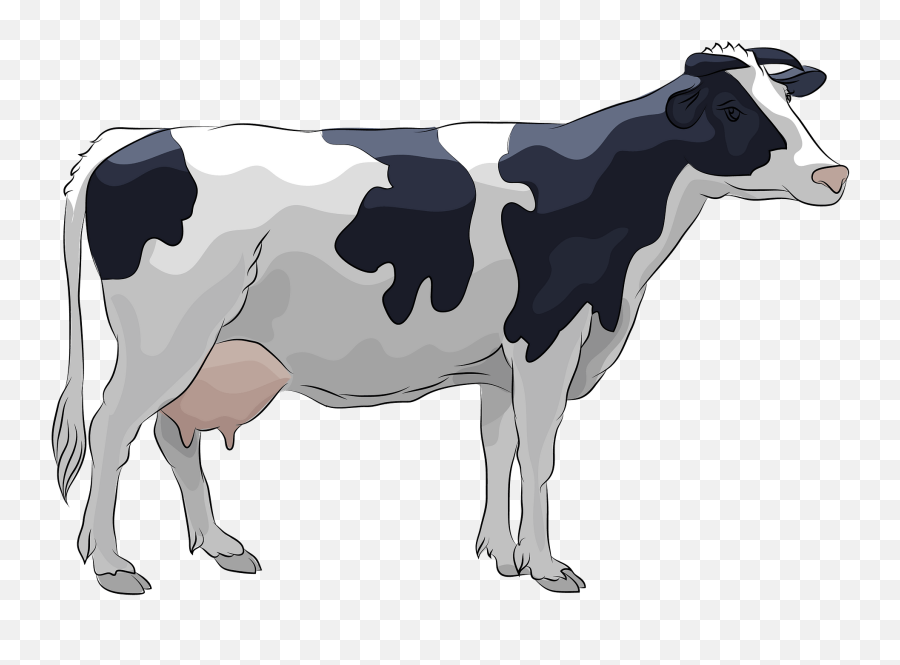 Holstein Cow Clipart - Clip Art Images Of A Cow Emoji,Cow Clipart