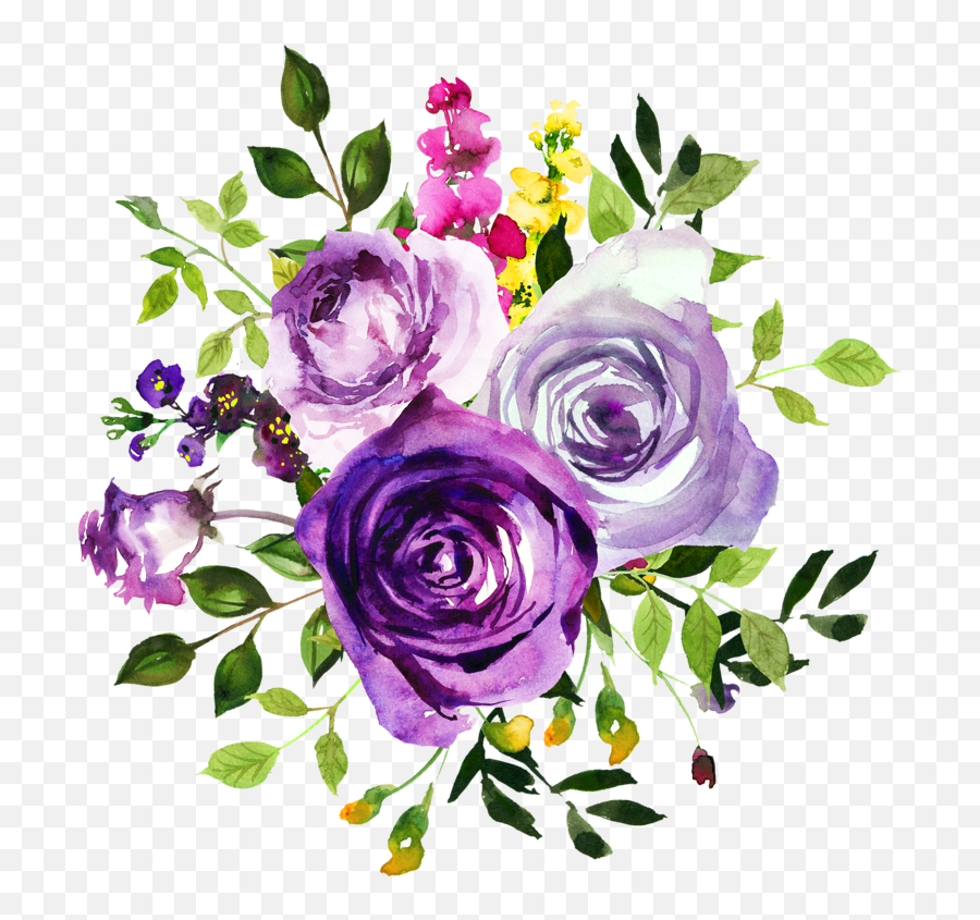 Three Flowers Illustration Flower - Purple Roses Png Emoji,Rose Transparent