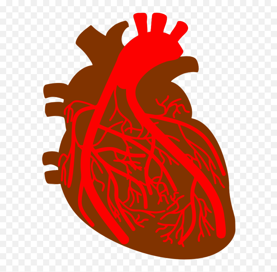 Pin By John R On Heart Disorders Causes Of Heart Emoji,Disease Clipart