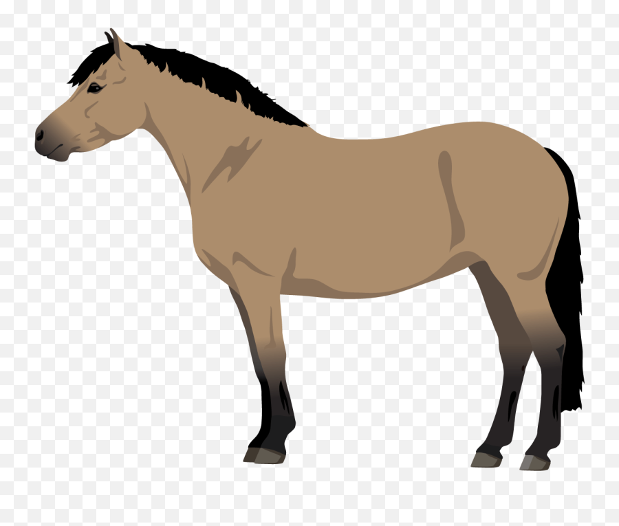 Buckskin - Animal Figure Emoji,Horse Transparent