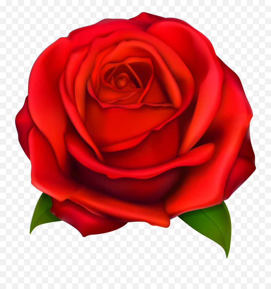 Library Of Rose Png Freeuse Download - Transparent Red Rose Clipart Png Emoji,Rose Clipart