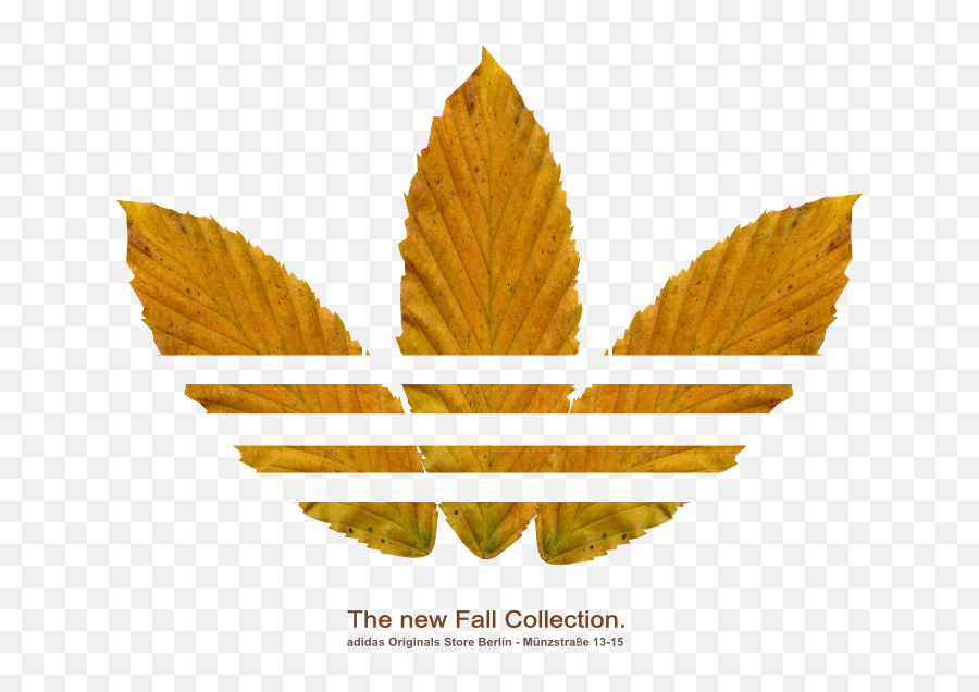Prevedi Erozija Paritet Adidas Gold New Logo - Adidas Brand Emoji,Addidas Logo
