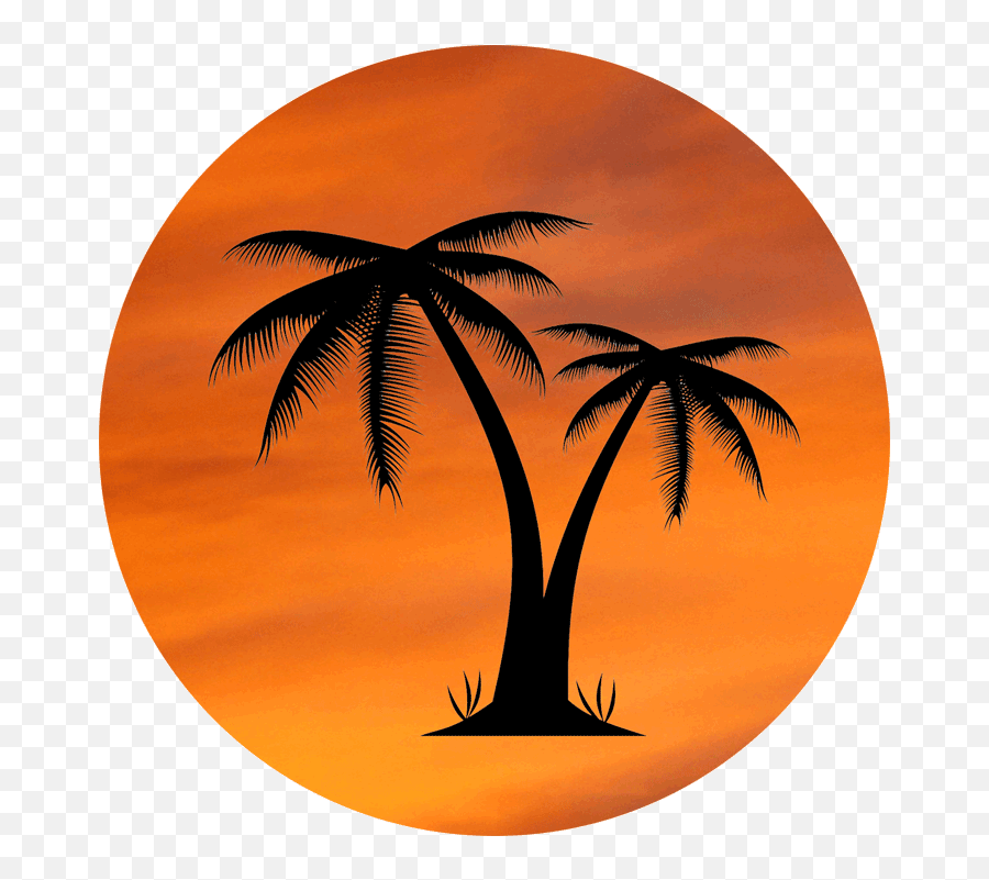 Download Orange Sky Palm Tree Design - Palm Tree Sunset Transparent Emoji,Palm Tree Logo