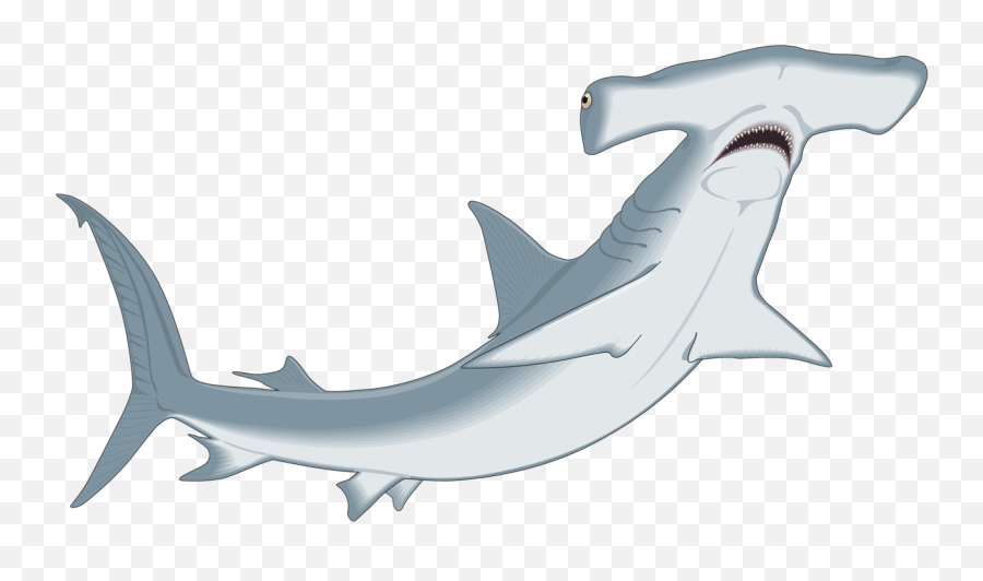 Hammerhead Shark Clipart Png Image With - Hammerhead Shark Clip Art Emoji,Shark Clipart