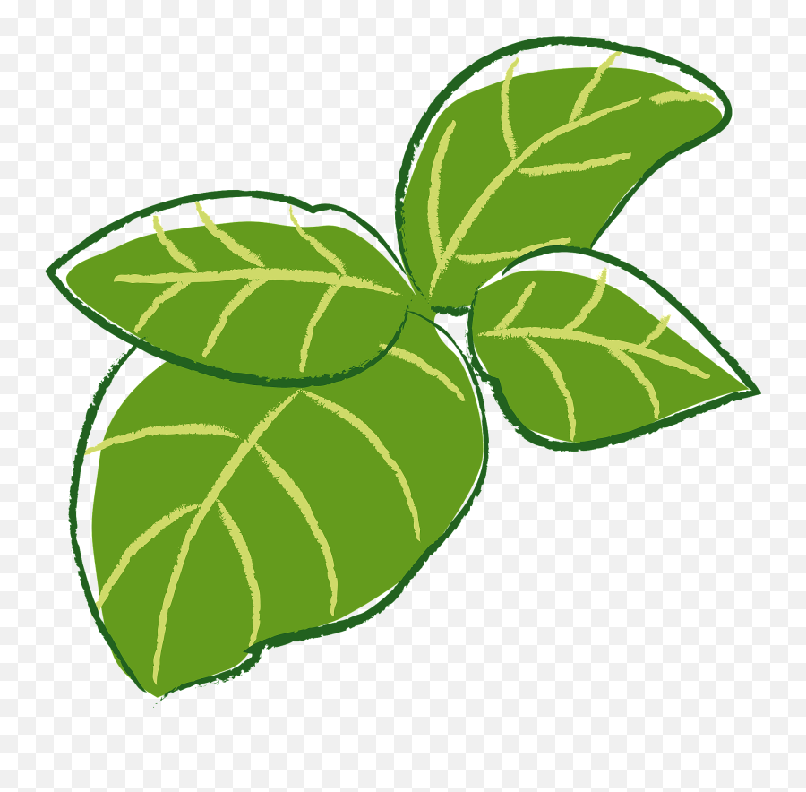 Basil Herb Leaves Clipart Free Download Transparent Png Emoji,Herbal Clipart