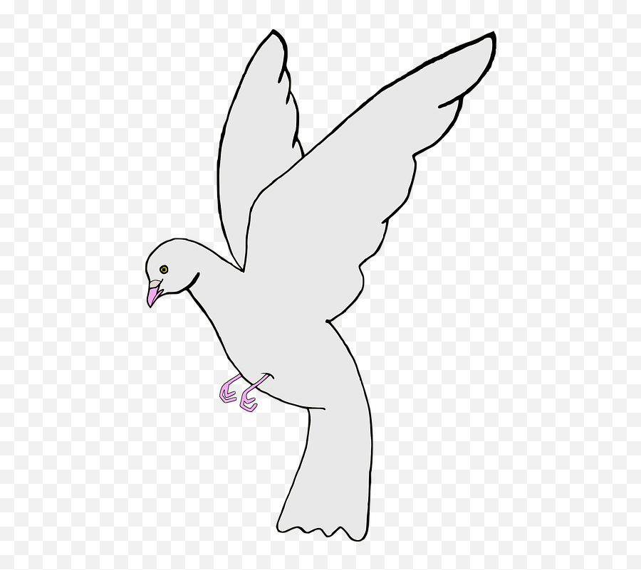 Ave Bird Paloma - Gambar Animasi Merpati Putih Emoji,Paloma Png