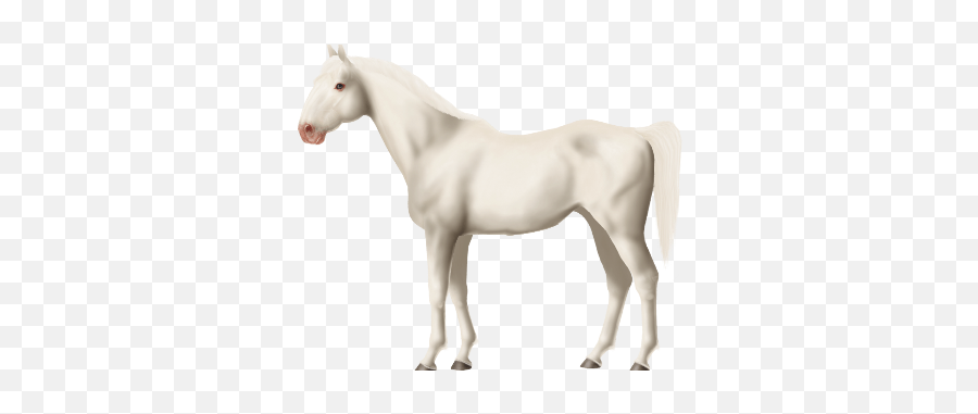 White Horse Sale Horse World Online - White Horse Transparent Emoji,Horse Transparent