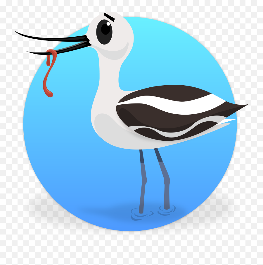 Tern Clipart Dictionary - Water Bird Transparent Cartoon Long Emoji,Dictionary Clipart