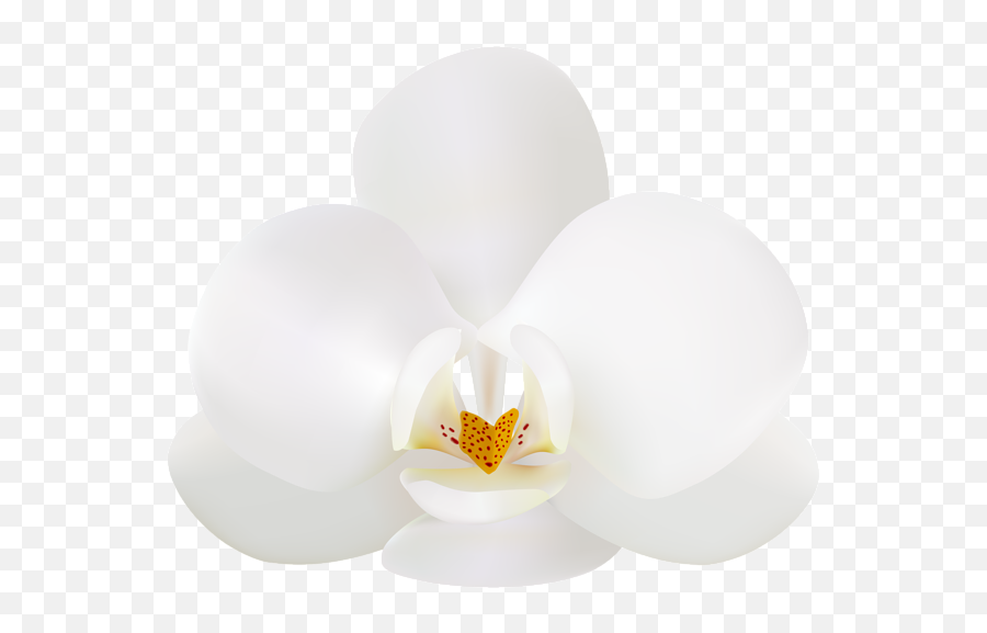 White Orchid Png Clip Art Image - Transparent White Orchid Flower Emoji,Orchid Clipart