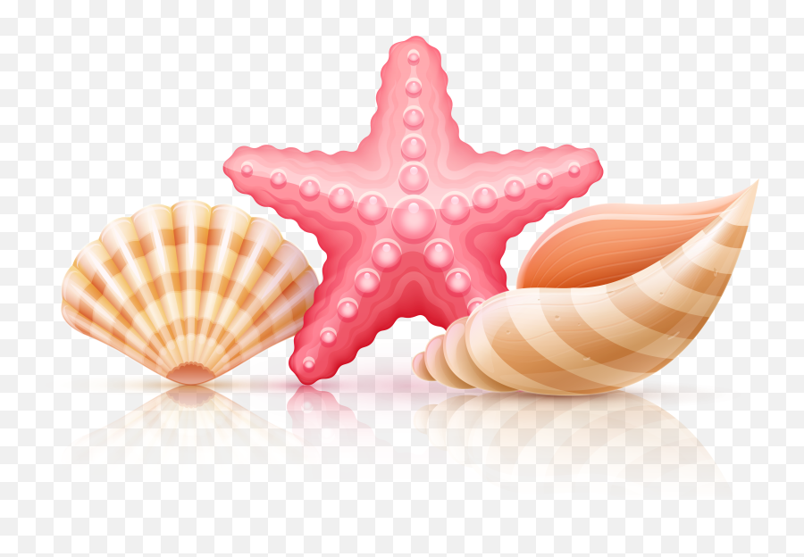 Seashells Wales - Starfish And Seashells Png 5000x3323 Emoji,Seashell Clipart