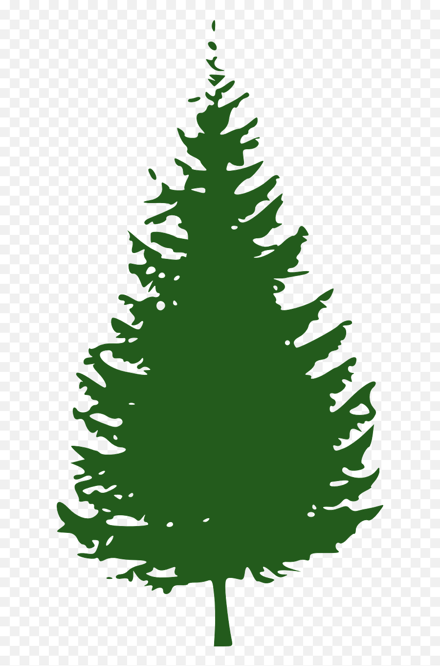 Fir Tree Conifer Tree Forest Png - Pine Tree Color Silhouette Emoji,Forest Png