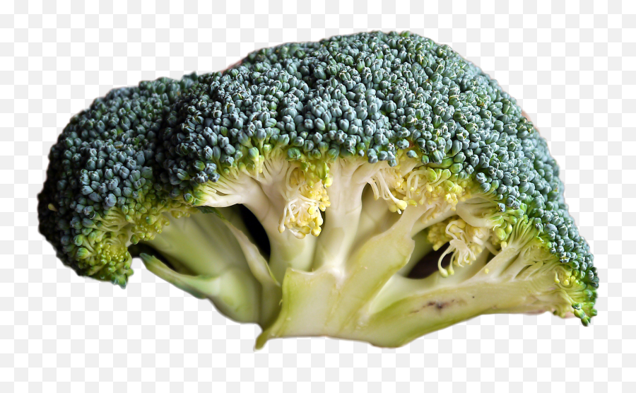 Broccoli Clipart High Resolution Picture 302229 Broccoli - Broccoli Sulfur Emoji,Broccoli Clipart