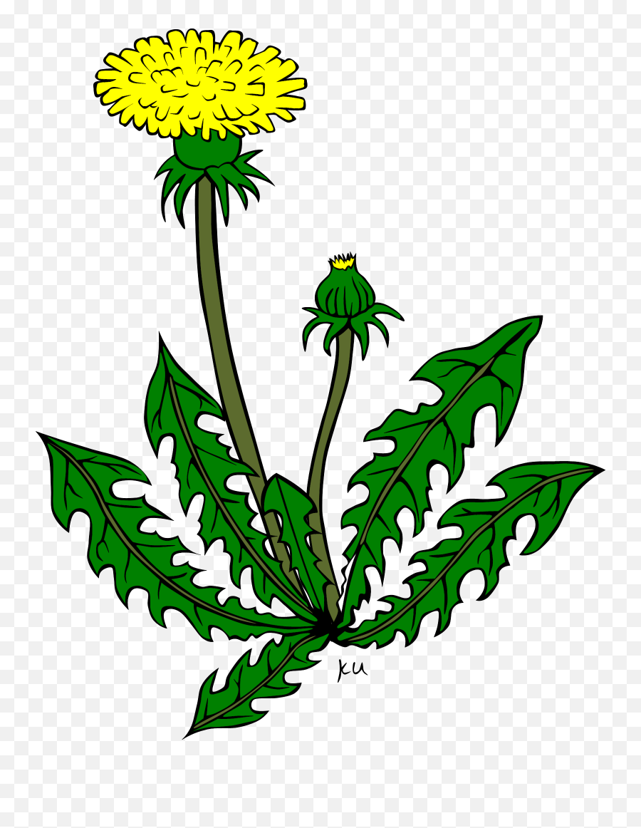 Yellow Dandelion Flower Clipart Free Image - Clip Art Dandelion Emoji,Dandelion Clipart