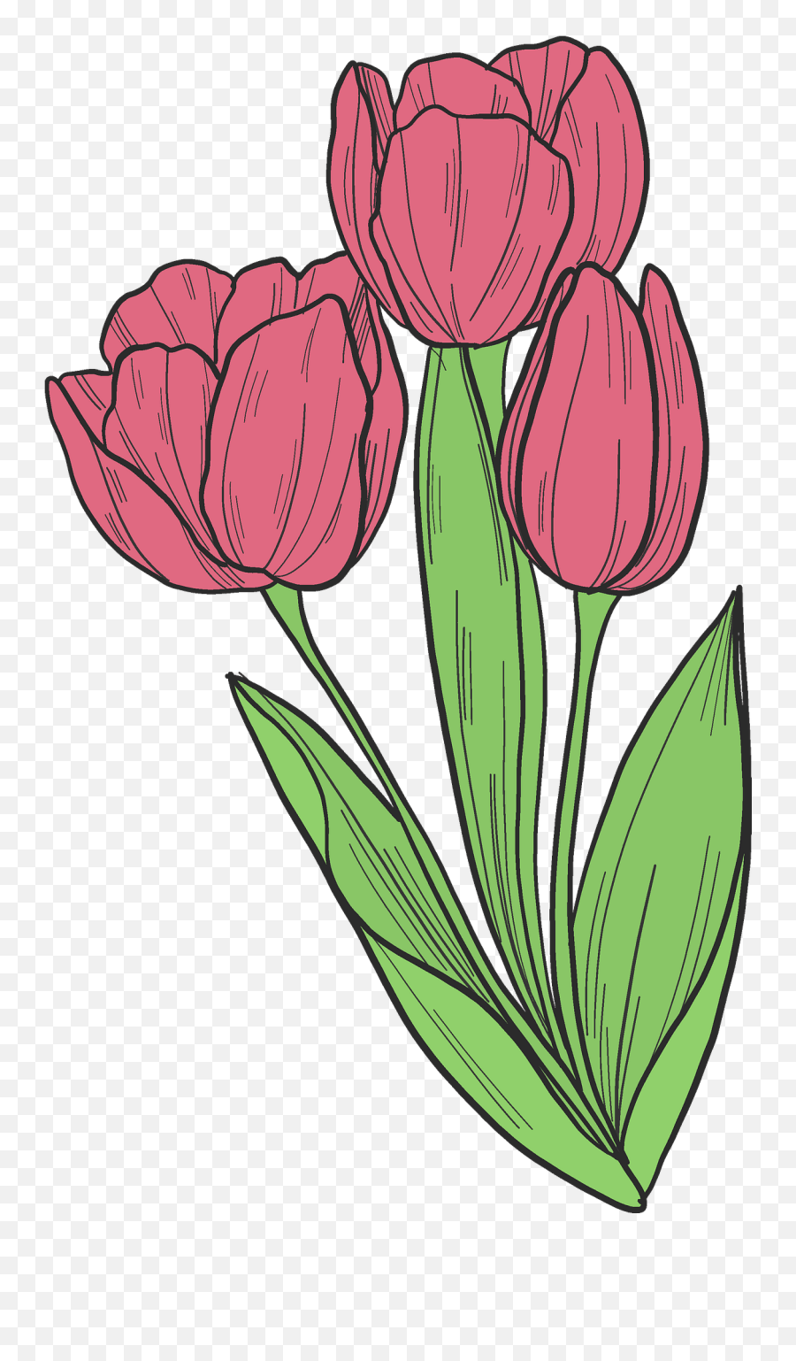 Bouquet Of Tulips Clipart - Floral Emoji,Tulips Clipart