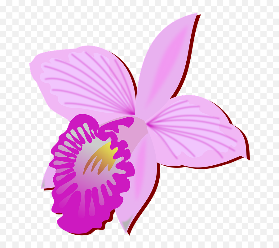 Clip Art Flor Flora Emoji,Orchid Clipart