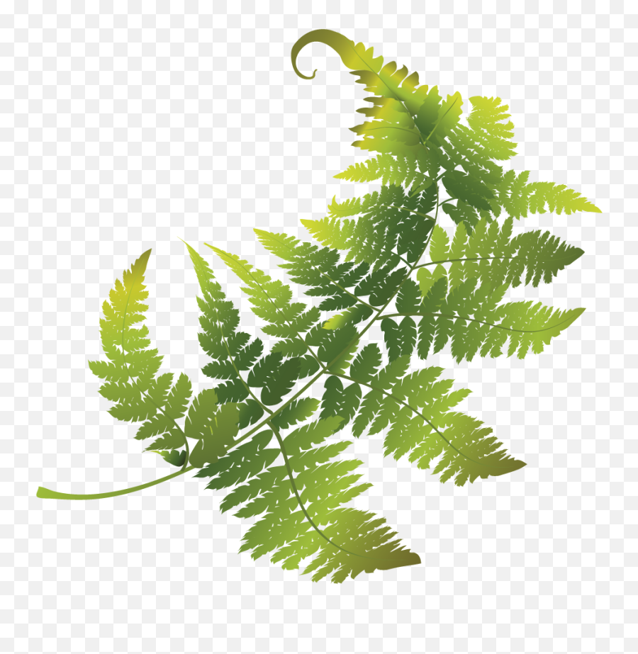 Entourage Edge Emoji,Tropical Leaves Clipart