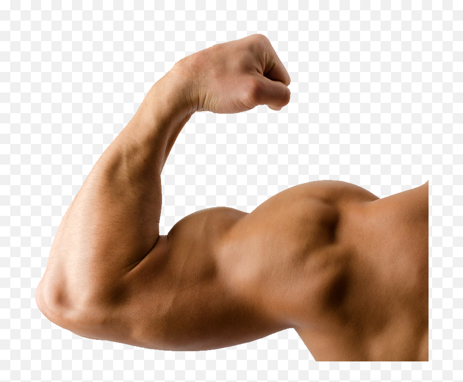 Biceps Muscle Png Clipart Png Mart Emoji,Bodybuilder Clipart