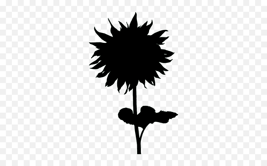 2019 Mjffu0027s Parkinsonu0027s Policy Forum Update Parkinson Emoji,Sunflower Clipart Black And White