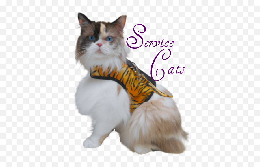 Blest Sunday 2021 Pet Bloggeru0027s Journey U2013 Service Cats Us - Cat Apparel Emoji,Cats Logo