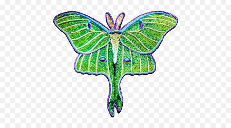 Luna Moth Patch - Girly Emoji,Moth Transparent