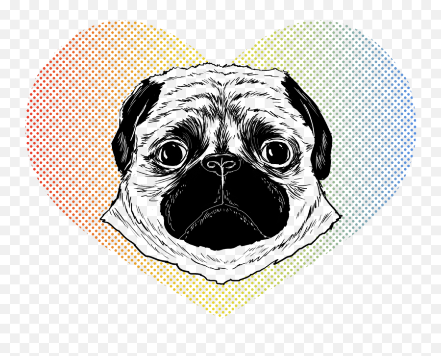 Download Patrycjaruman Pugface - Pug Full Size Png Image Emoji,Pug Face Png