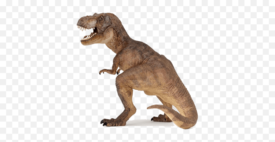 Dinosaurs Transparent Png Images - Colour Is At Rex Emoji,Dinosaur Png