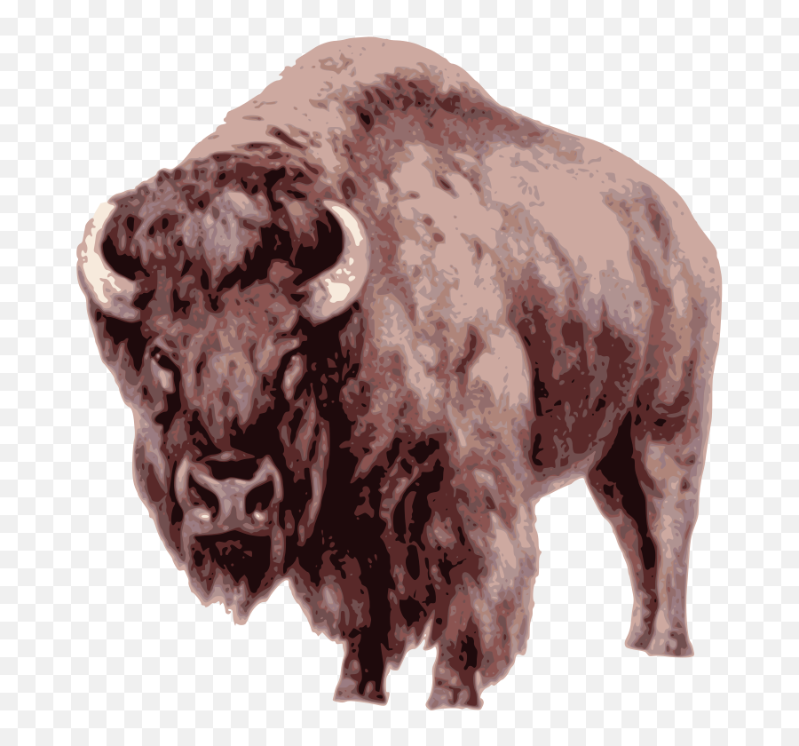 Openclipart - Clipping Culture American Bison Emoji,Buffalo Clipart