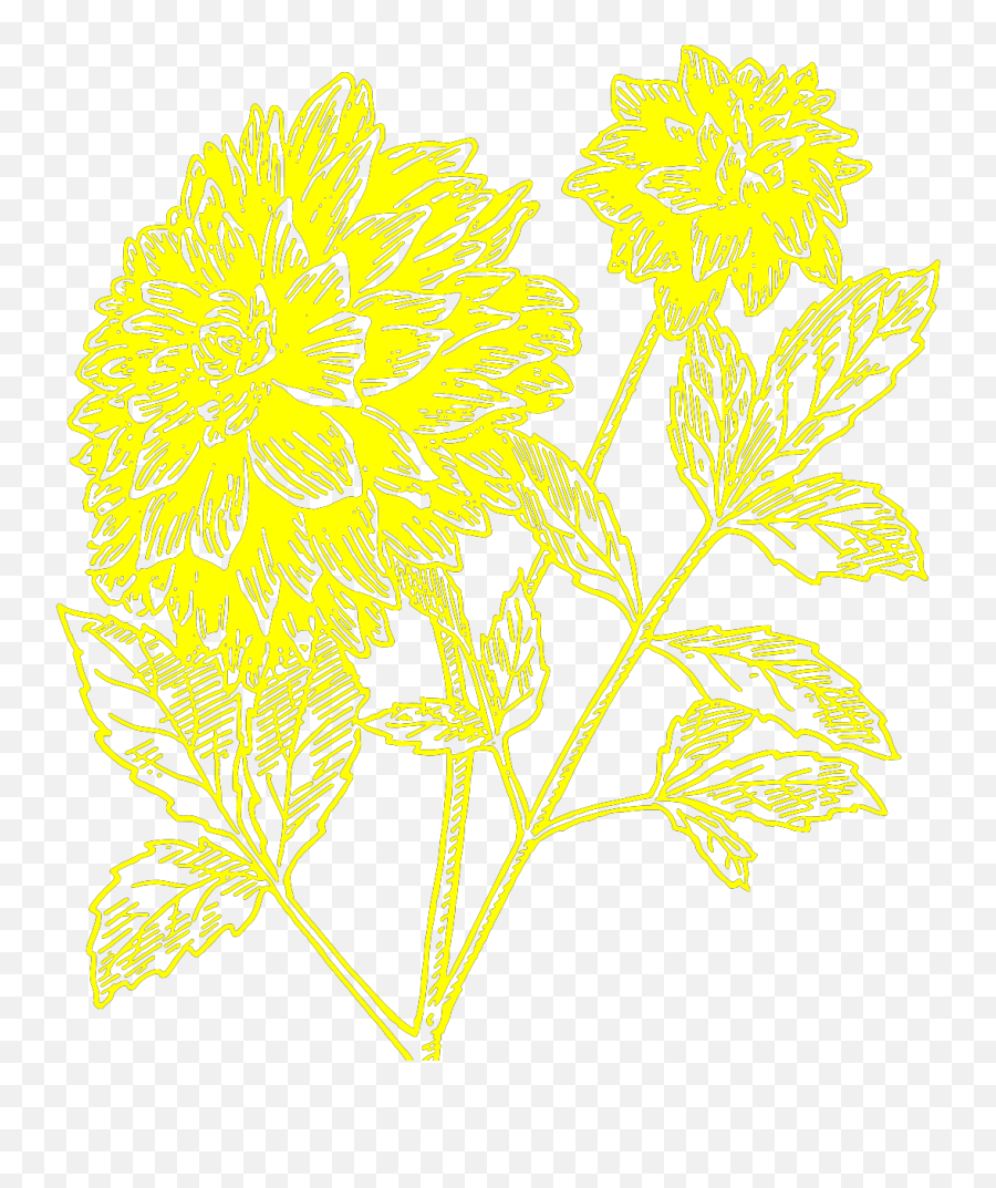 Yellow Dahlia Svg Vector Yellow Dahlia Clip Art - Svg Clipart Emoji,Dahlia Clipart