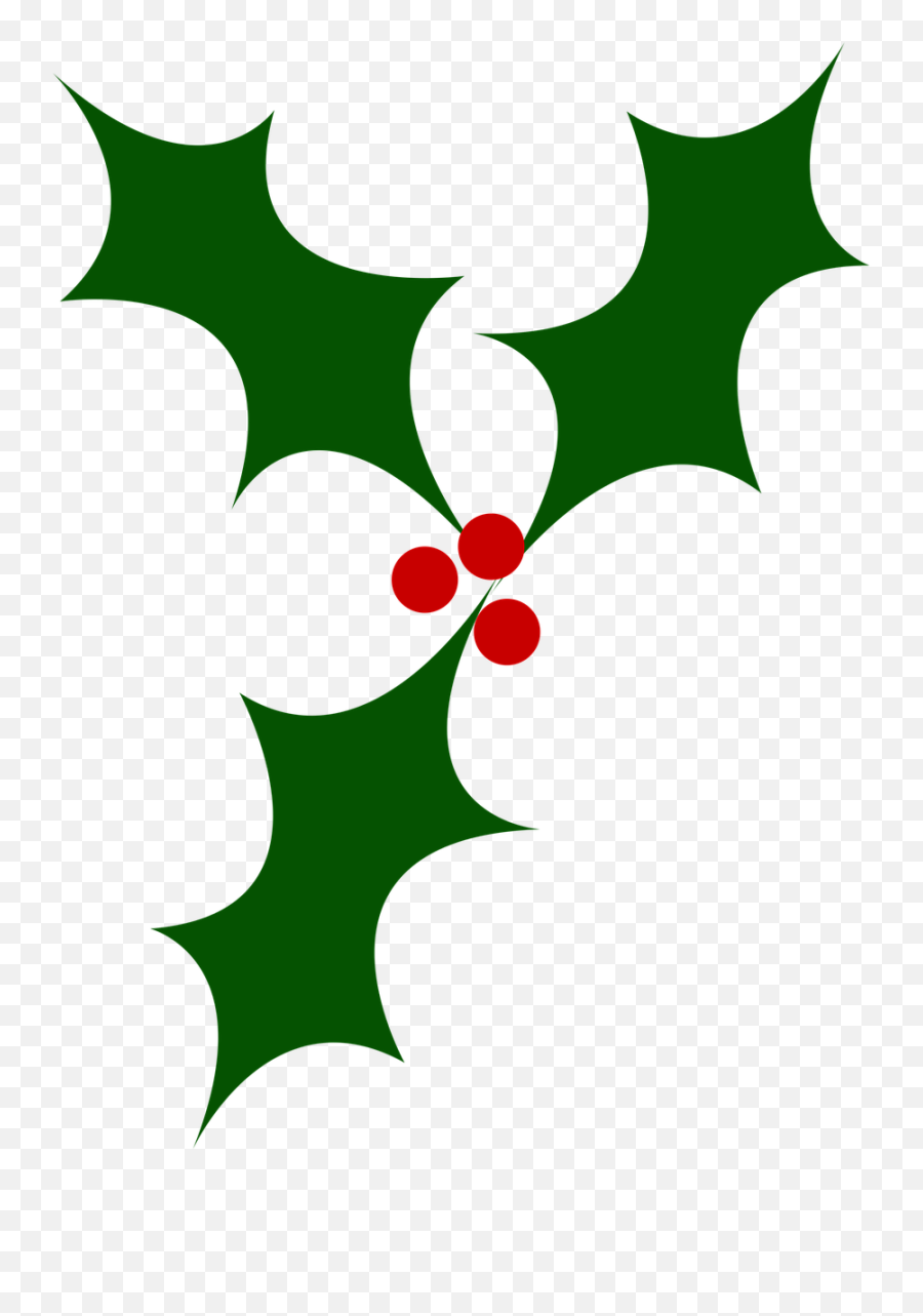 Holly Berries Png - Holly Christmas Tree Berry Png Image Holly Berry Transparent Clipart Emoji,Holly Png