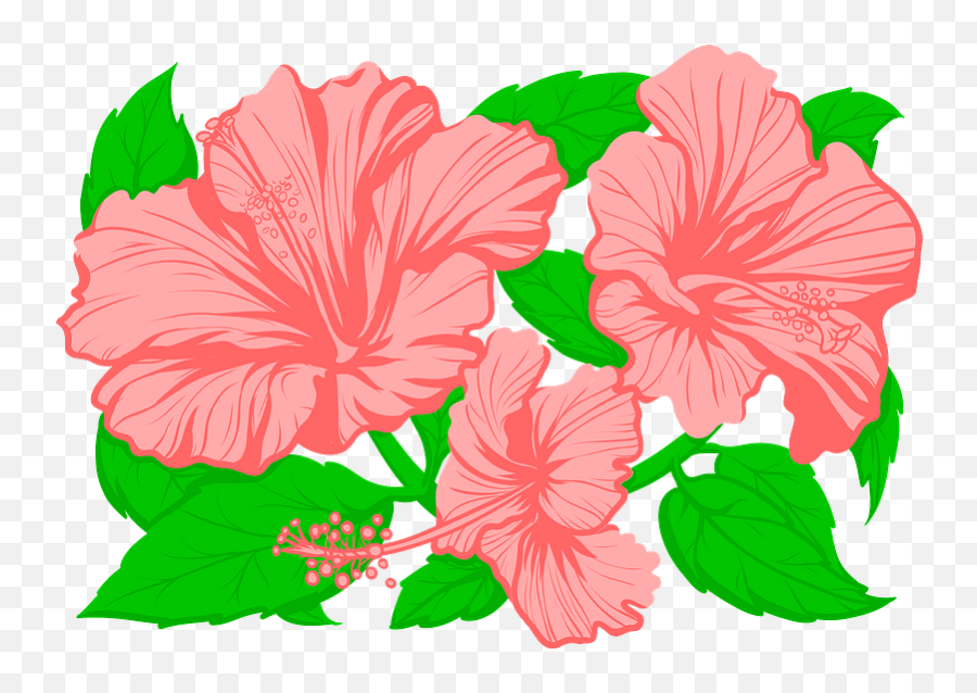 Hibiscus Clipart - Hawaiian Hibiscus Emoji,Hibiscus Clipart