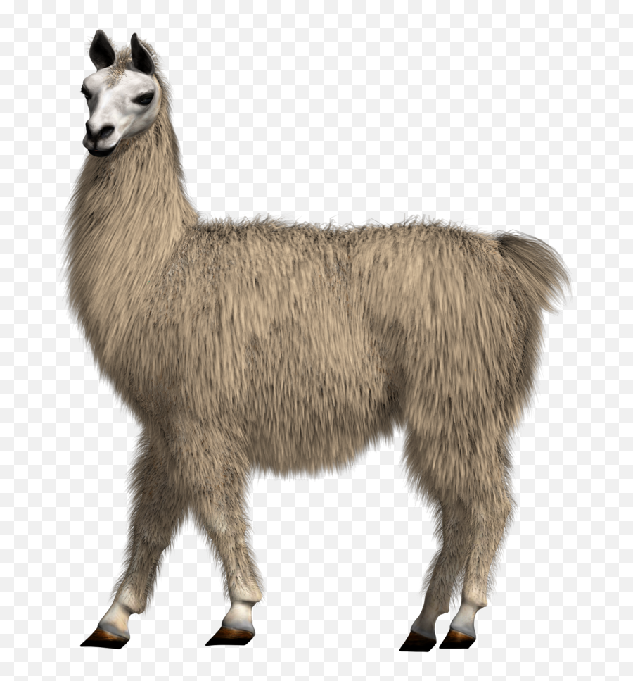 Llama Png Hd Png Emoji,Fortnite Llama Clipart
