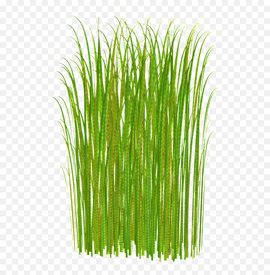 Sunlight Plant Transparent Decorative - Clipart Tall Grass Emoji,Grass Transparent Background